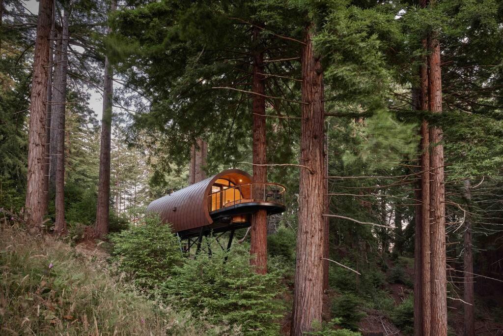 ~* The Spectacular Spyglass Treehouse *~ Occidental Exterior foto