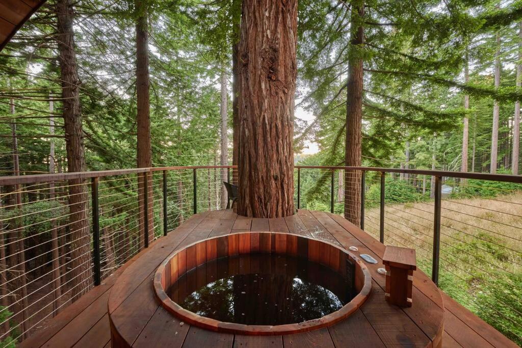 ~* The Spectacular Spyglass Treehouse *~ Occidental Exterior foto